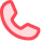 Phone Icon